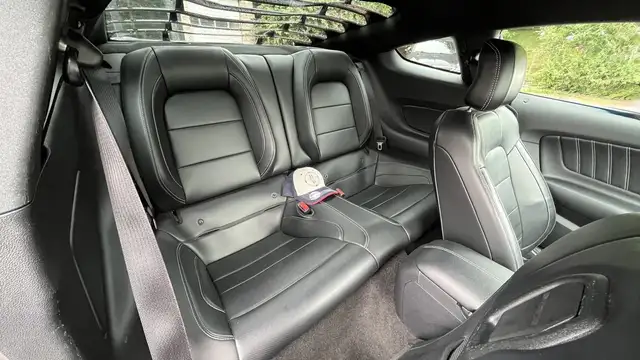 Ford Mustang view 18