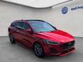 Ford Focus Turnier Hybrid Aut. ST-LINE MATRIX-LED+PANO+ Rot - thumbnail 9
