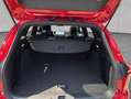 Ford Focus Turnier Hybrid Aut. ST-LINE MATRIX-LED+PANO+ Rot - thumbnail 6