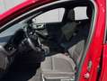 Ford Focus Turnier Hybrid Aut. ST-LINE MATRIX-LED+PANO+ Rot - thumbnail 11