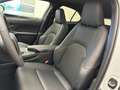 Lexus UX 250h UX Hybrid 4WD Design Bianco - thumbnail 6