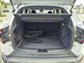 Dacia Duster Extreme TCe 130 4x4 *Winter-Paket* Wit - thumbnail 7