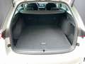 Skoda Octavia Essence TSI Grau - thumbnail 12