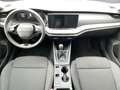 Skoda Octavia Essence TSI Grau - thumbnail 10