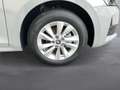 Skoda Octavia Essence TSI Grau - thumbnail 6