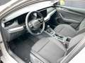 Skoda Octavia Essence TSI Grau - thumbnail 8