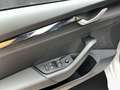 Skoda Octavia Essence TSI Grau - thumbnail 15