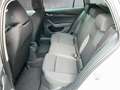 Skoda Octavia Essence TSI Grau - thumbnail 11