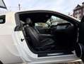 Ford Mustang 3,7 Leder"Alu"Xenon Weiß - thumbnail 14