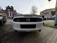 Ford Mustang 3,7 Leder"Alu"Xenon Weiß - thumbnail 3