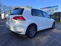 Volkswagen Golf GOLF VII BMT MASSAGE BI-XENON T-LEDER SHZ TEMPO. Weiß - thumbnail 4