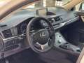 Lexus CT 200h Executive+Navibox Blanc - thumbnail 9