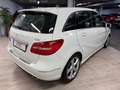 Mercedes-Benz B 180 180CDI BE 7G-DCT (4.75) Blanc - thumbnail 10