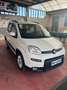 Fiat New Panda Panda 0.9 T.Air Tutbo Nat. Pow. Trekking White - thumbnail 3