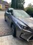 Lexus RX 450h GS 450h Executive Line Grau - thumbnail 4