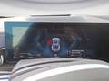 BMW X6 M X6 xDrive30d M Sport Innovationsp. Panorama AHK Gris - thumbnail 10