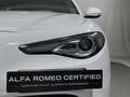 Alfa Romeo Giulia 2.0 Turbo 200 CV AT8 Business Blanco - thumbnail 37