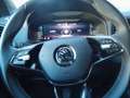 Skoda Karoq Sportline 4x4, SHZ,Lenkradheiz.,AHZV,MATRI Gris - thumbnail 11