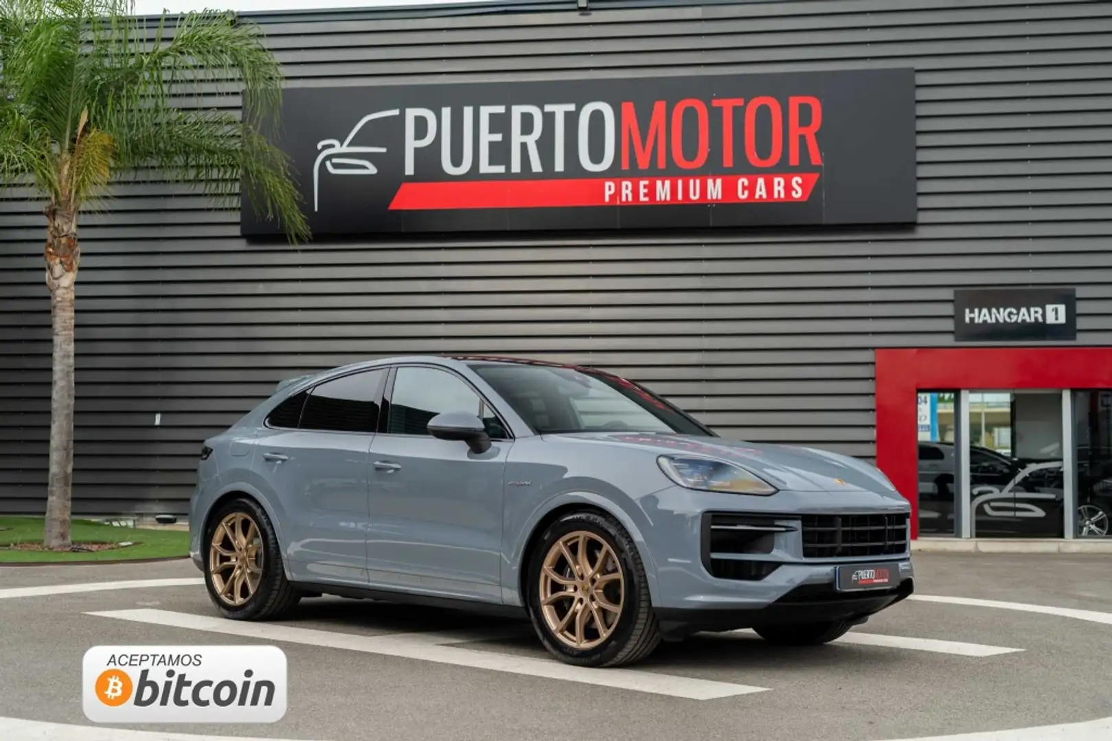 Porsche Cayenne E-Hybrid Aut. Gris - 1