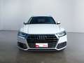 Audi Q5 2ª serie 45 TFSI quattro S tronic Business Bianco - thumbnail 1