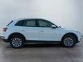 Audi Q5 2ª serie 45 TFSI quattro S tronic Business Bianco - thumbnail 3