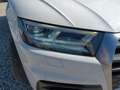 Audi Q5 2ª serie 45 TFSI quattro S tronic Business Bianco - thumbnail 7