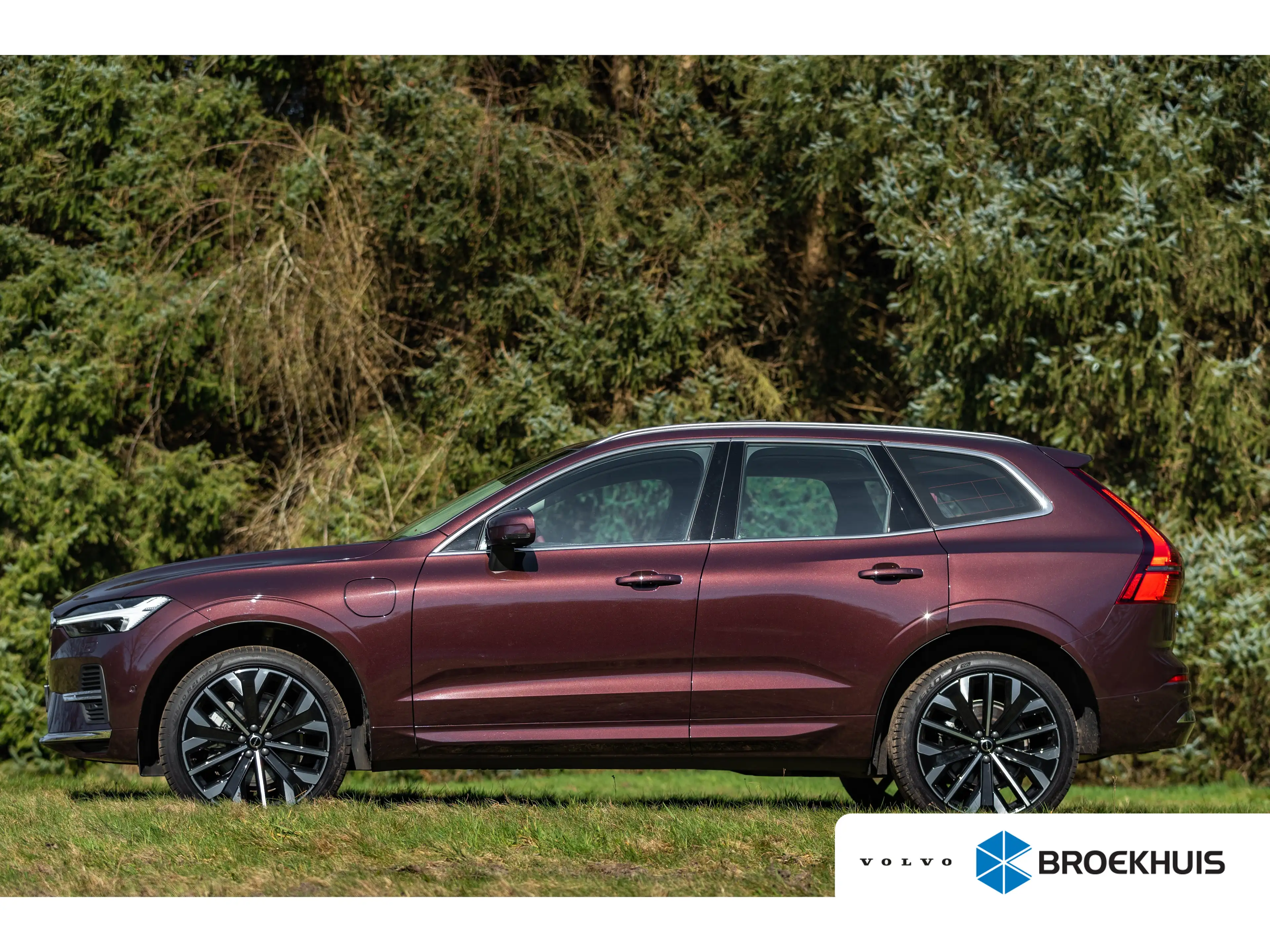 Volvo XC60 T8 Ultra | Rood Leder! | B&W | Luchtvering | Pano