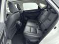 Lexus NX 300h AWD Luxury Edition Limited | Elektr. stoelverstell Wit - thumbnail 20