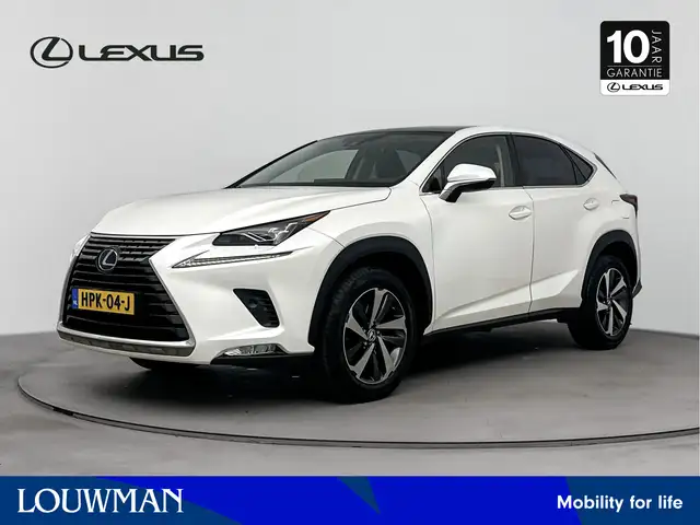 Lexus NX 300h AWD Luxury Edition Limited | Stoelkoeling | Panora