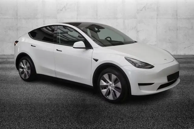 Tesla Model Y RWD