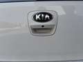 Kia Rio KIA RIO 1.1 CRDI COOL 75CV 5P (2017) Argento - thumbnail 5