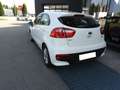 Kia Rio KIA RIO 1.1 CRDI COOL 75CV 5P (2017) Argento - thumbnail 4