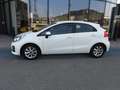 Kia Rio KIA RIO 1.1 CRDI COOL 75CV 5P (2017) Argento - thumbnail 3