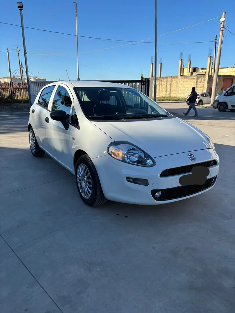 Fiat Punto 5p 1.3 mjt Street s&s 95cv - 1