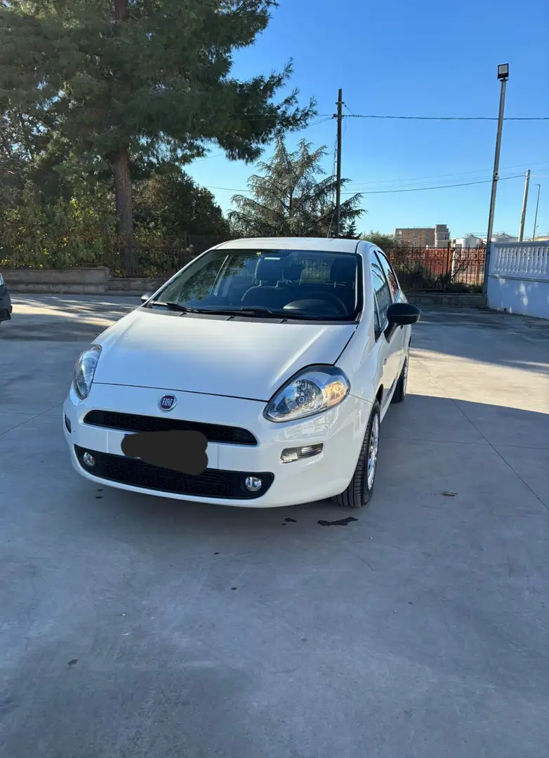 Fiat Punto 5p 1.3 mjt Street s&s 95cv - 2