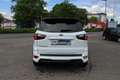 Ford EcoSport ST-Line 1,0EcoBoost*140PS*Xenon*18 Zoll*Kamera*PDC Weiß - thumbnail 3