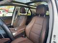Mercedes-Benz GLE 450 GLE 450 d 4M AMG Fahrassi+ Airmatic StHz Pano AHK Weiß - thumbnail 10