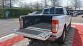 Ford Ranger SUPER CABINE 2.0 ECOBLUE 170 SS LIMITED Blanc - thumbnail 15