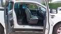 Ford Ranger SUPER CABINE 2.0 ECOBLUE 170 SS LIMITED Blanc - thumbnail 13