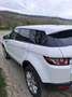 Land Rover Range Rover Evoque 5p 2.2 td4 Prestige 150cv - thumbnail 5