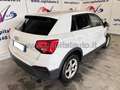Audi Q2 30 tdi s-tronic NETTO 11500 Bianco - thumbnail 4