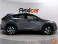 Lexus NX 300 300h Business Navigation 2WD Gris - thumbnail 9