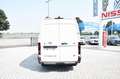 Nissan Interstar fwd 35 2.0 dci 150cv L2H2 N Connecta - AUTOCARRO Weiß - thumbnail 5
