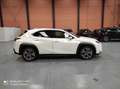 Lexus UX 300e Luxury Alb - thumbnail 4
