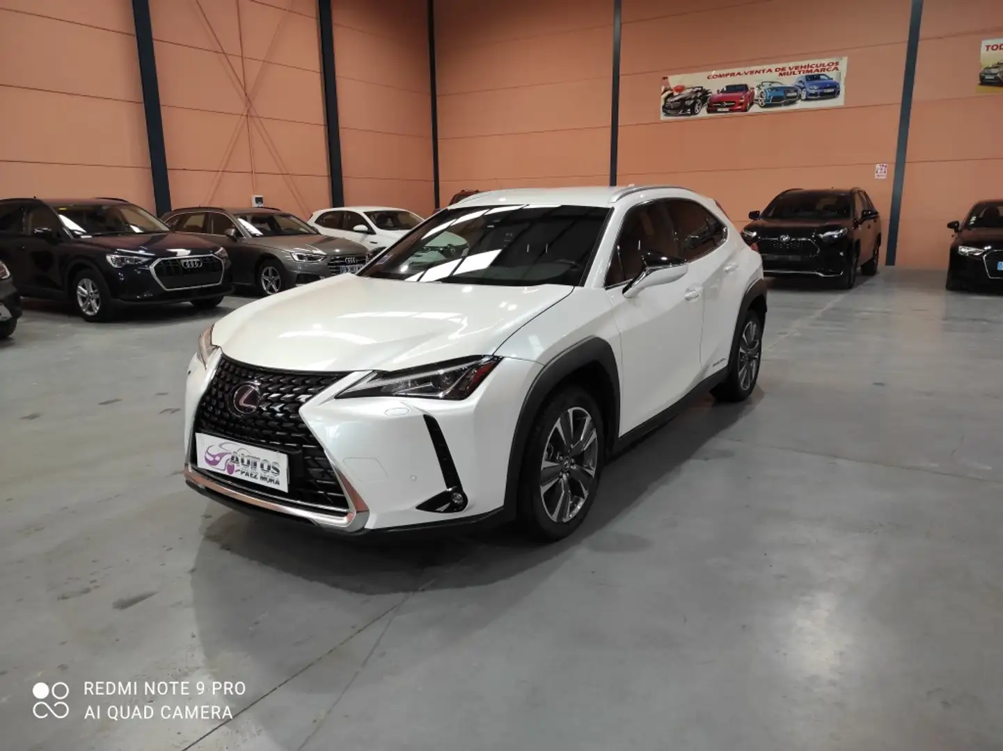 Lexus UX 300e Luxury Alb - 1