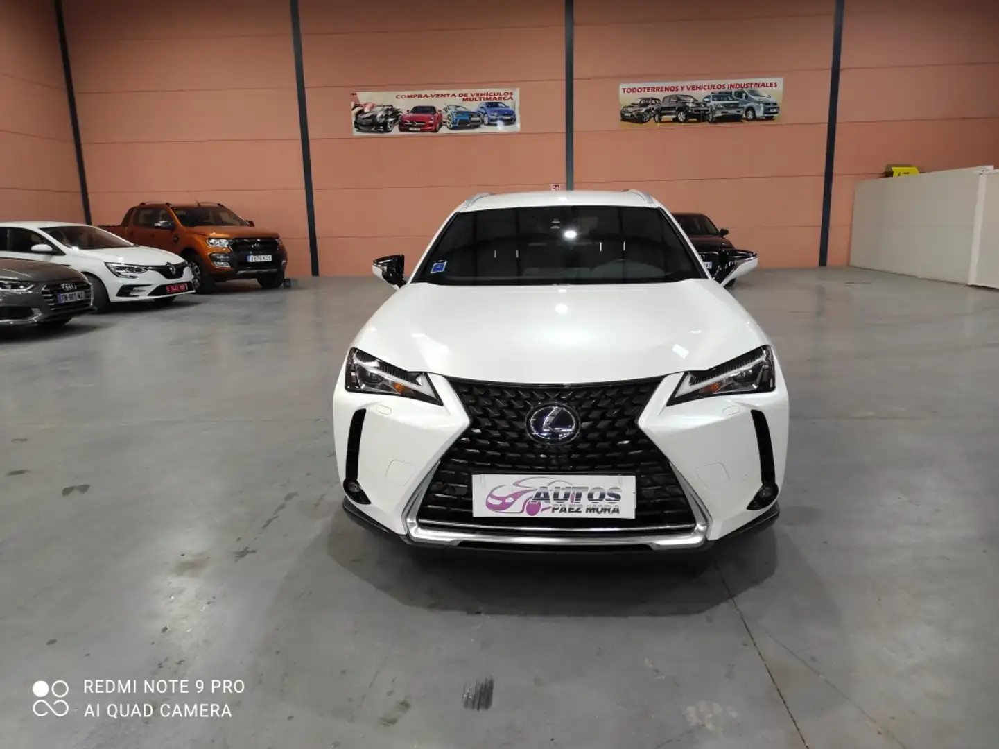 Lexus UX 300e Luxury Alb - 2
