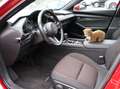 Mazda 3 Selection 2.0*Autom.*lückenloses Scheckheft*Kamera Rot - thumbnail 26