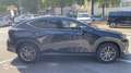 Lexus NX 450h+ 450h+ Luxe 4WD MY24 - thumbnail 8