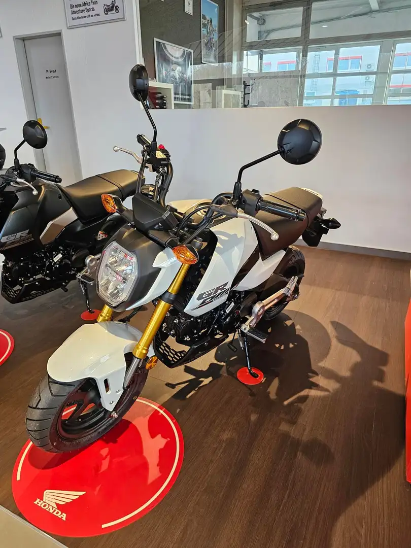 Honda MSX 125 Grom / TZ 03/26 Blanco - 1