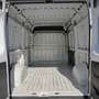 Fiat Ducato 33 MH2 2.3MJ FURGONE PASSO MEDIO T.ALTO 3 PTI-2021 Beyaz - thumbnail 15